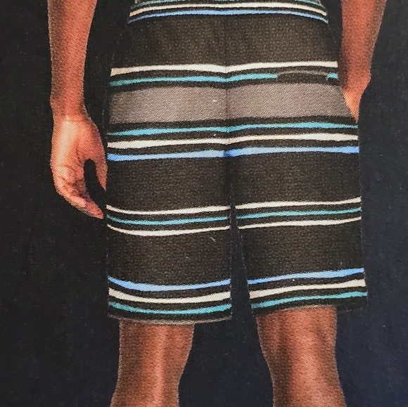 speedo mens striped tech volly lined swim set trunks l xl xxl new - Picture 3 of 6